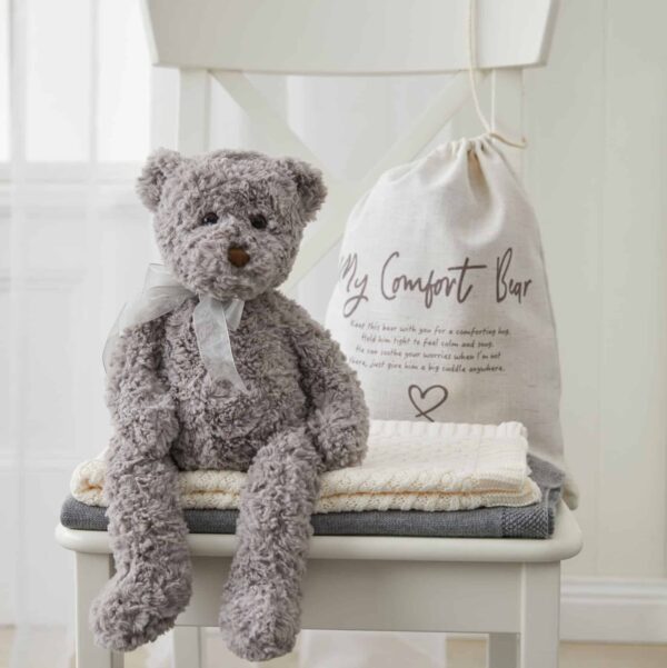 Darcy Comfort Bear | Jiggle & Giggle