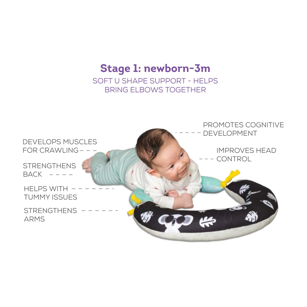 2 in 1 Tummy Time Pillow | Taf Toys premium baby gift - Baba-lando