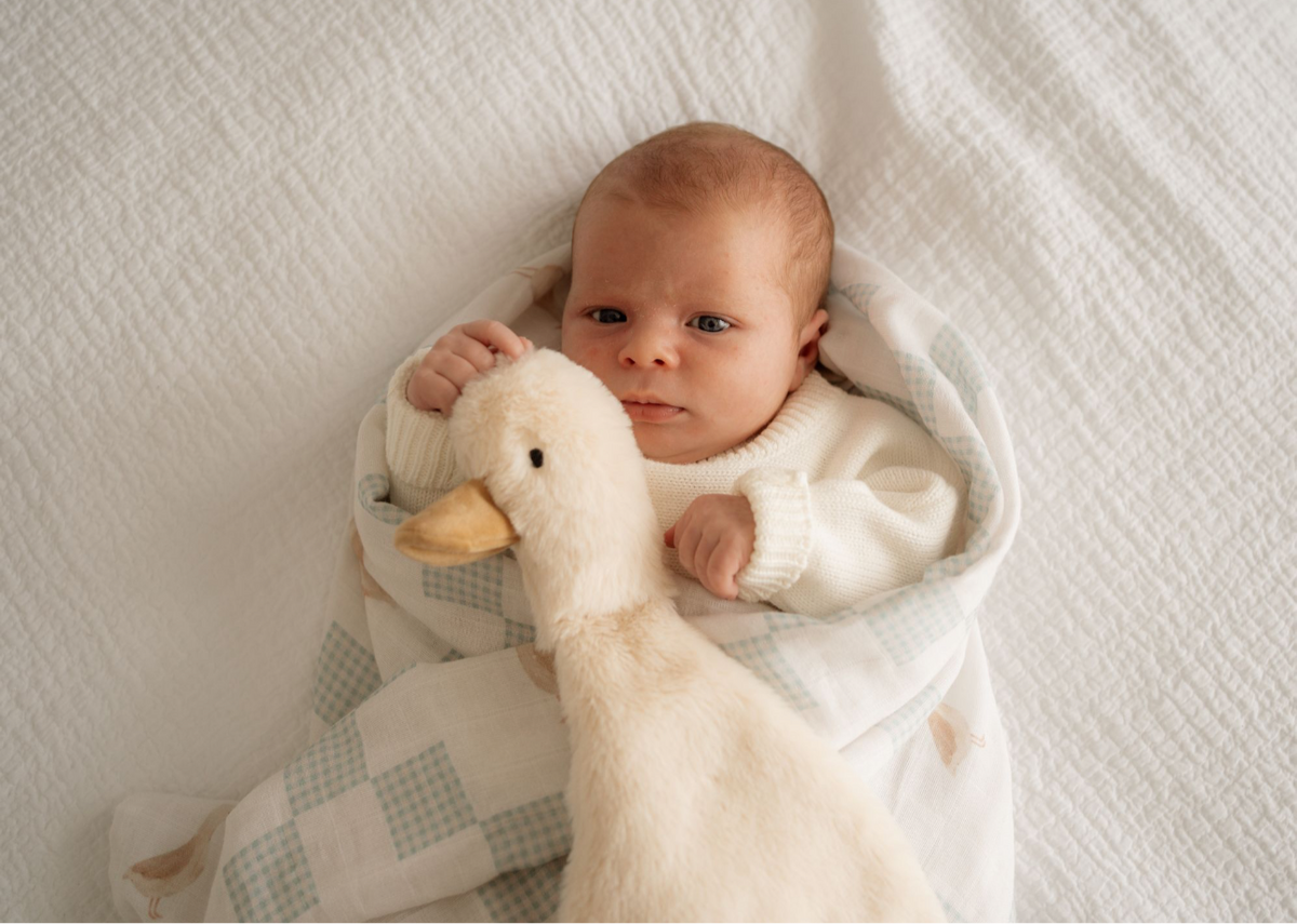 Waddles the Goose Comforter Toy