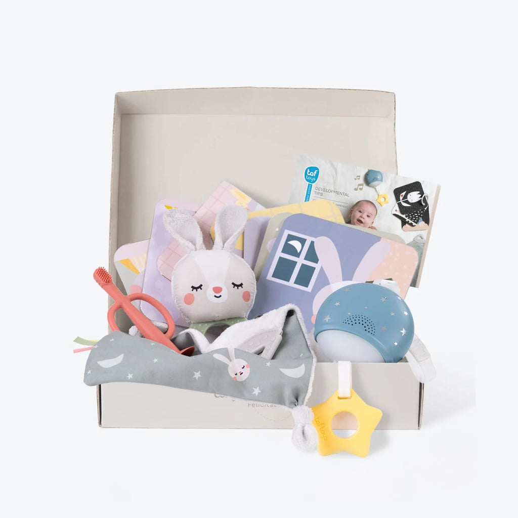 Bedtime Routine Kit | Taf Toys