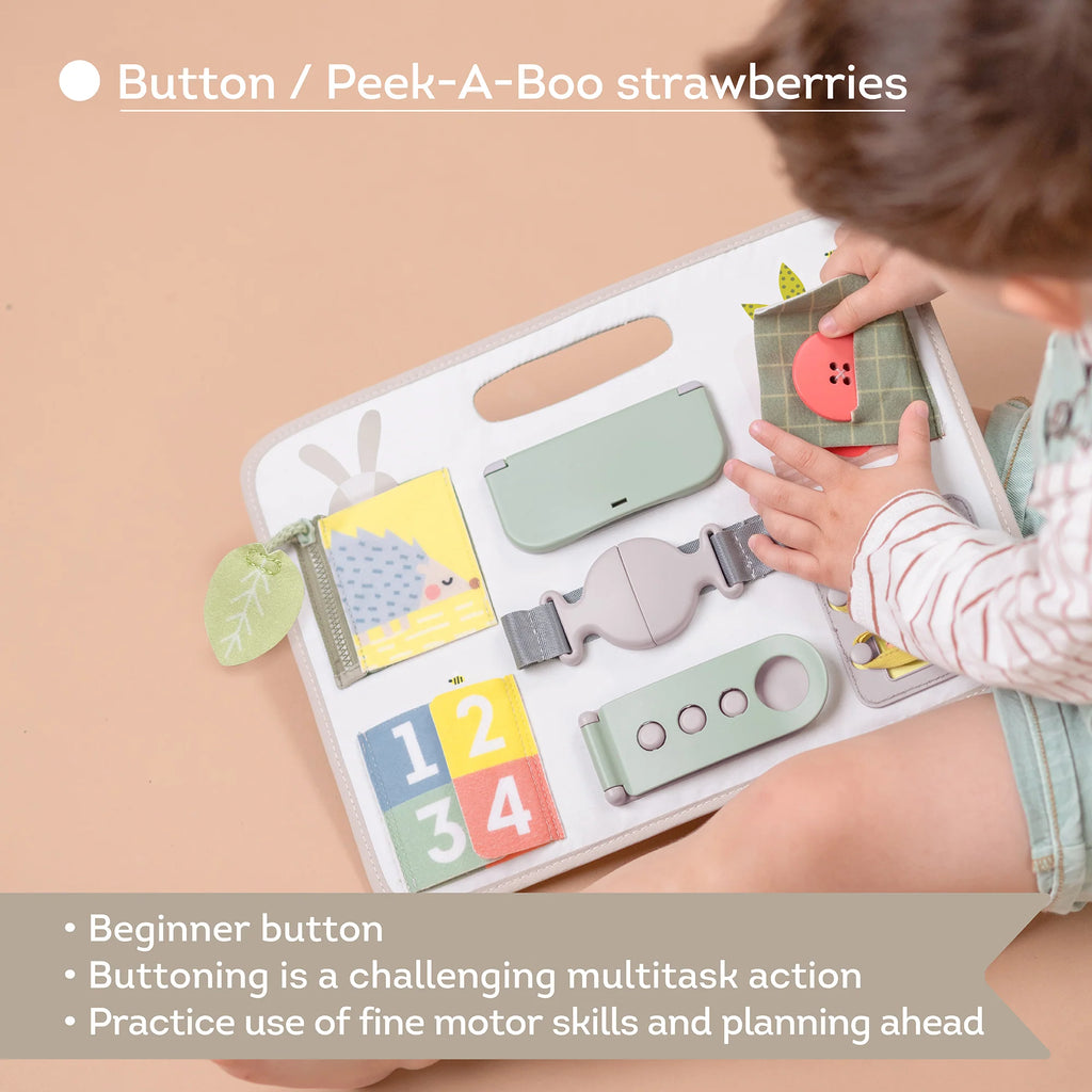 Activity Buckles Board | Taf Toys premium baby gift - Baba-lando