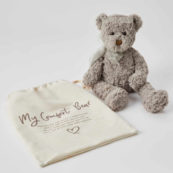 Darcy Comfort Bear | Jiggle & Giggle