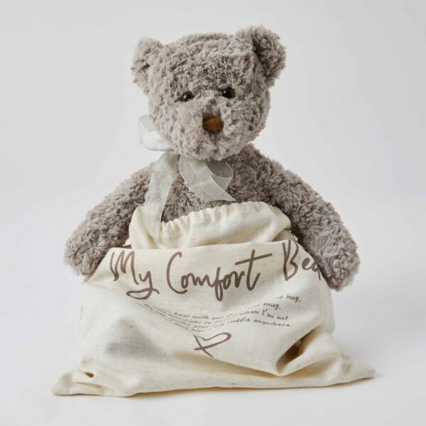 Darcy Comfort Bear | Jiggle & Giggle
