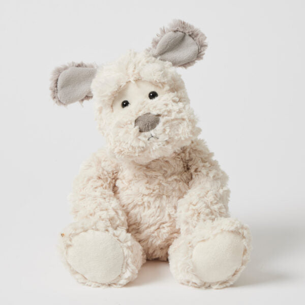 Scruff the dog