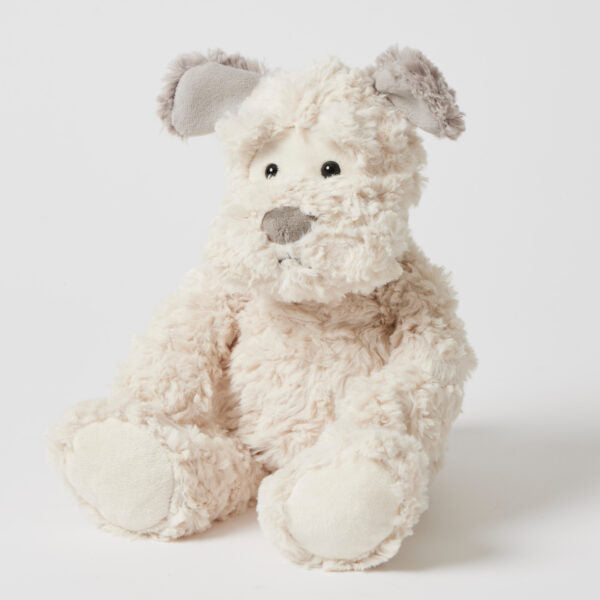 Scruff the dog
