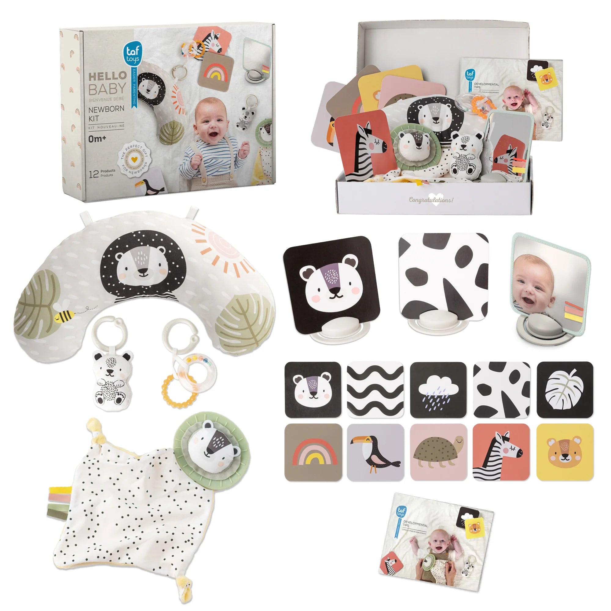 Newborn Develop & Play Kit | Taf Toys
