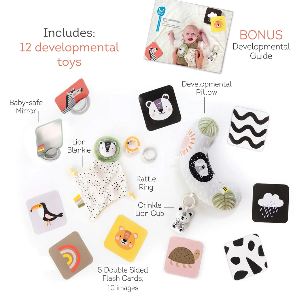 Newborn Develop & Play Kit | Taf Toys