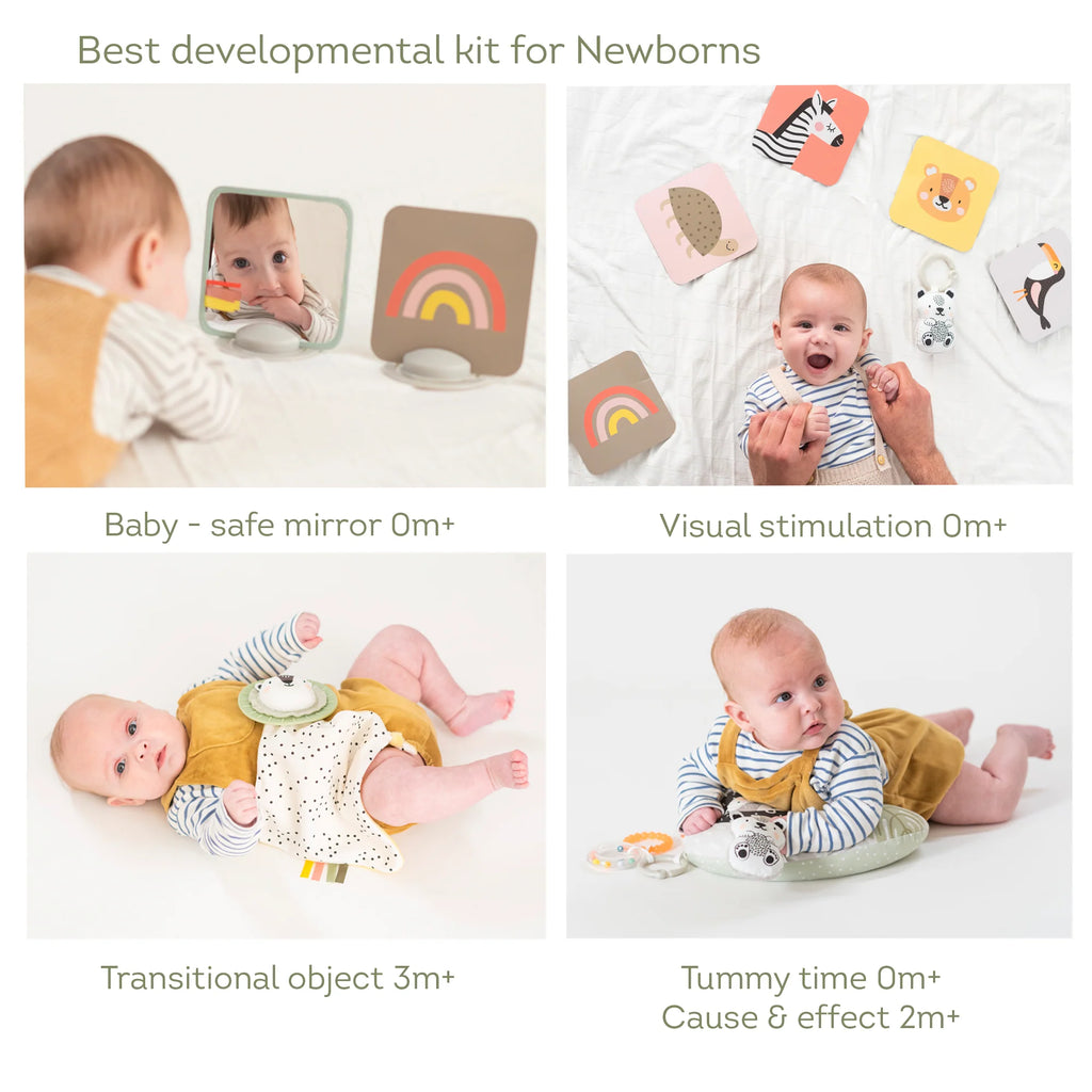 Newborn Develop & Play Kit | Taf Toys