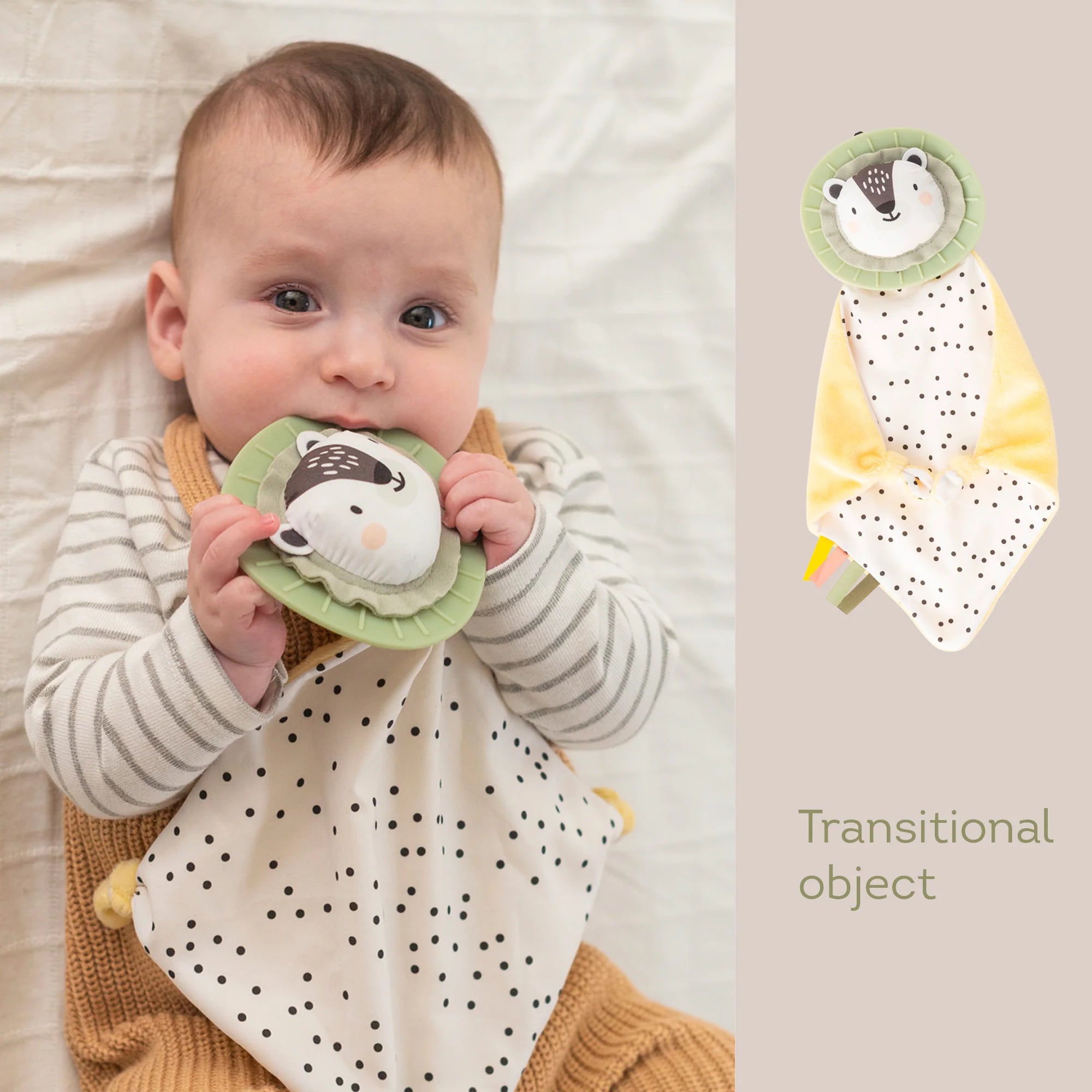 Newborn Develop & Play Kit | Taf Toys