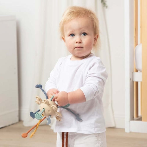 Pull String Interactive Toy | Jimmy
