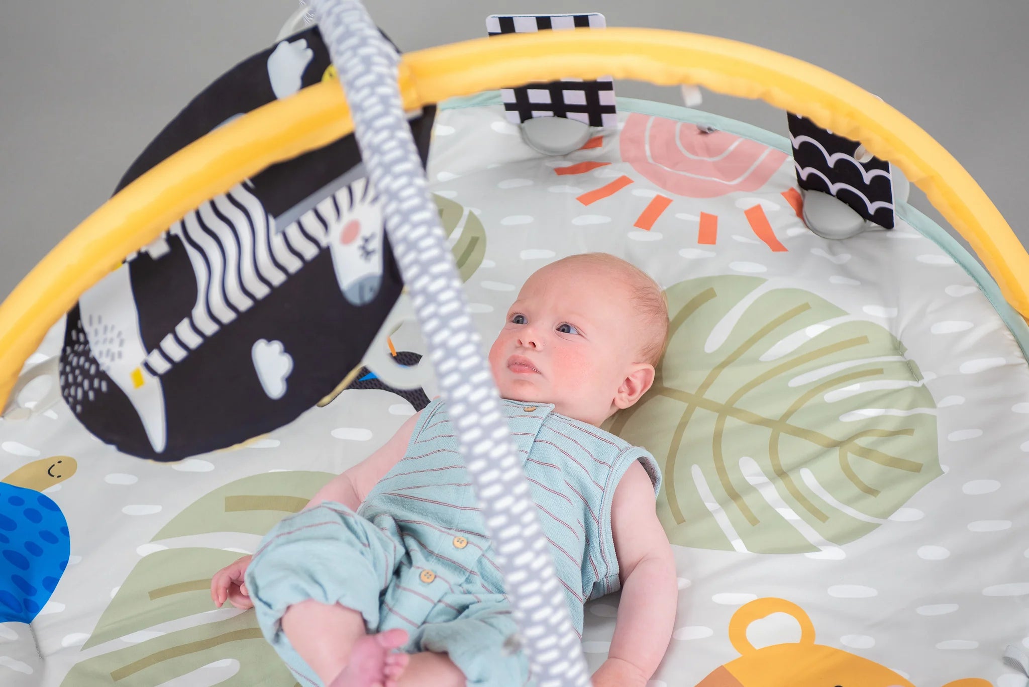 Savannah 360 Activity Gym 0m+ | Taf Toys premium baby gift - Baba-lando