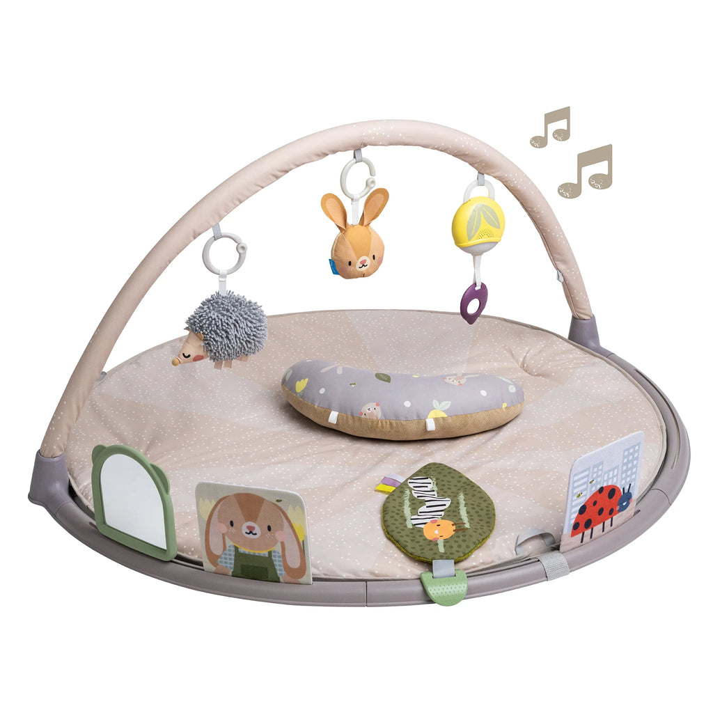 Tummy Time Activity Gym | Taf Toys premium baby gift - Baba-lando