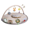 Tummy Time Activity Gym | Taf Toys premium baby gift - Baba-lando