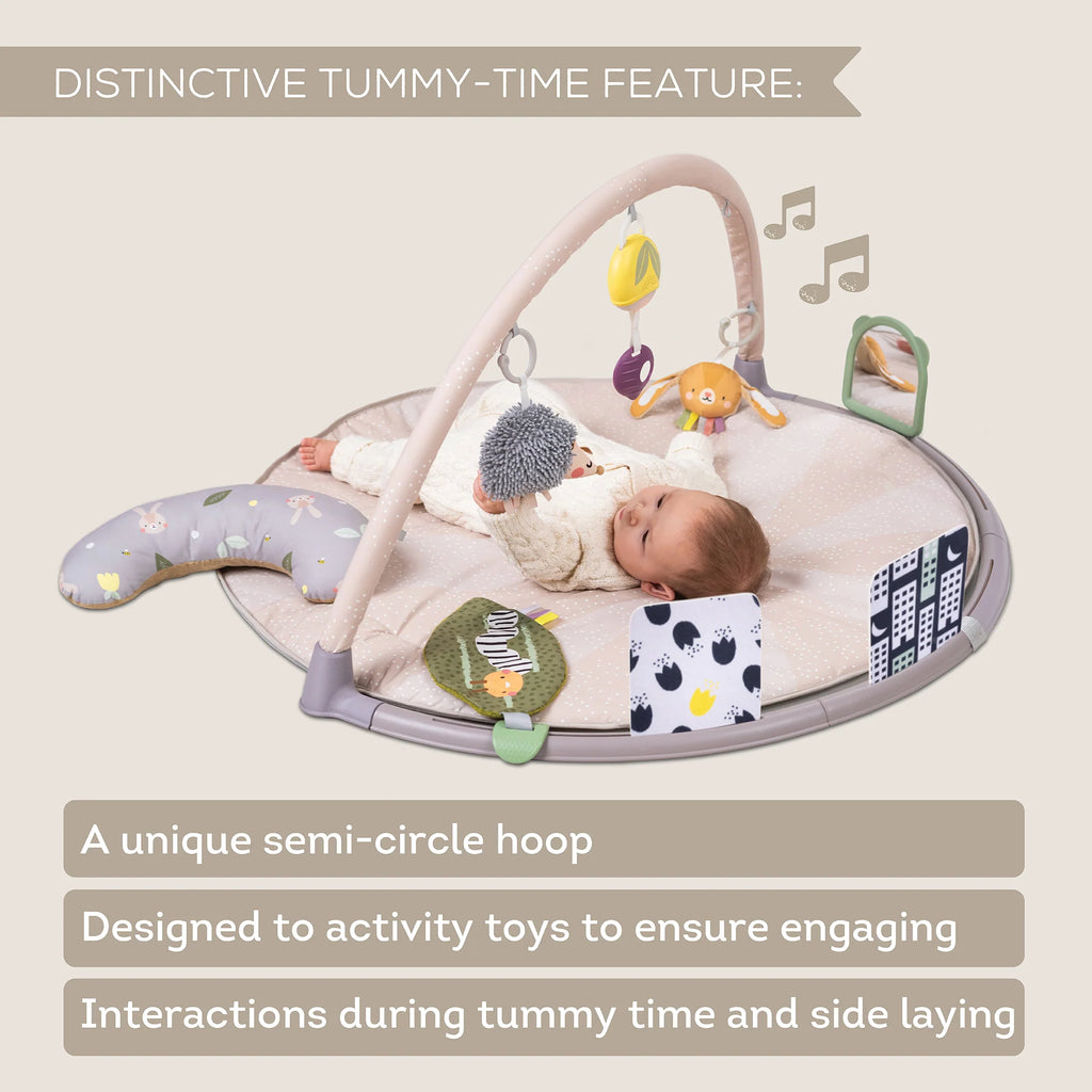 Tummy Time Activity Gym | Taf Toys premium baby gift - Baba-lando