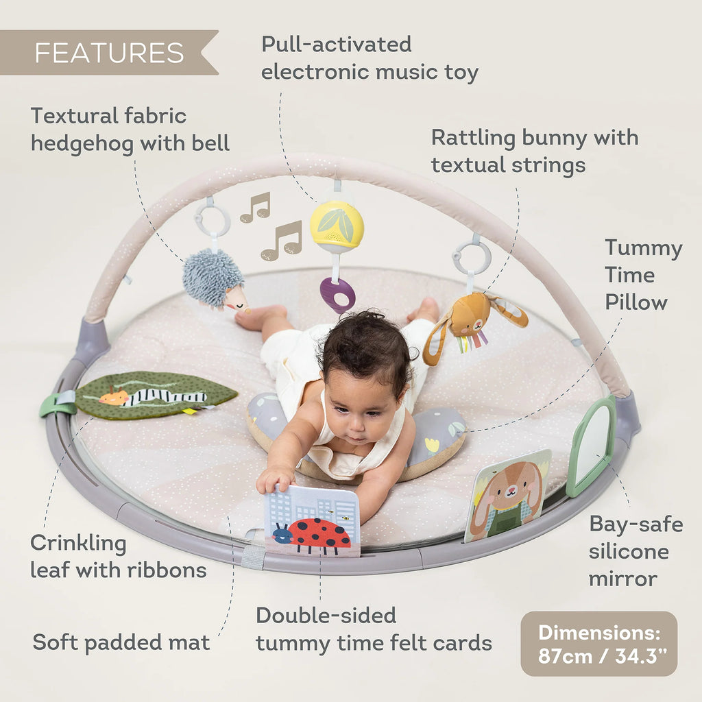 Tummy Time Activity Gym | Taf Toys premium baby gift - Baba-lando