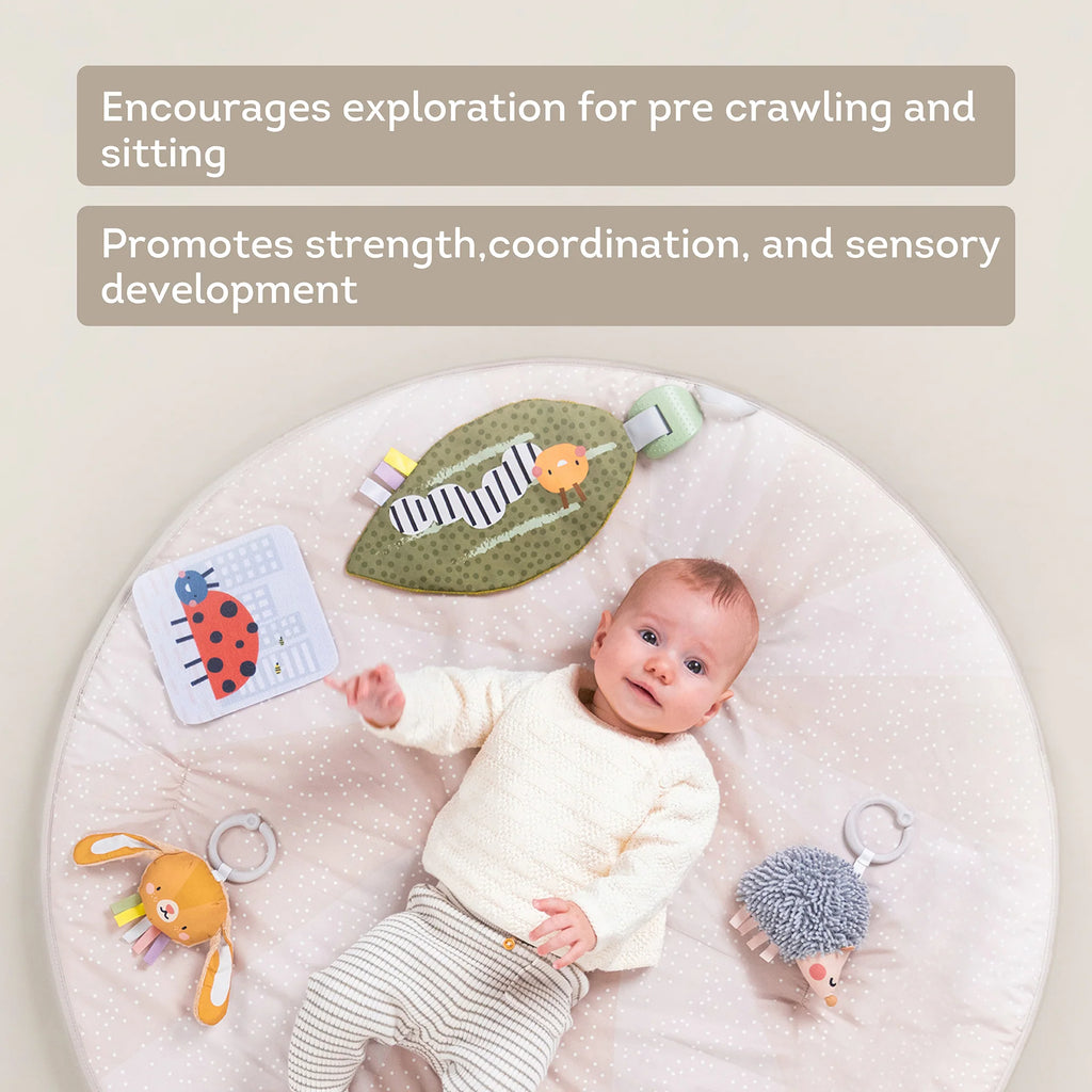 Tummy Time Activity Gym | Taf Toys premium baby gift - Baba-lando