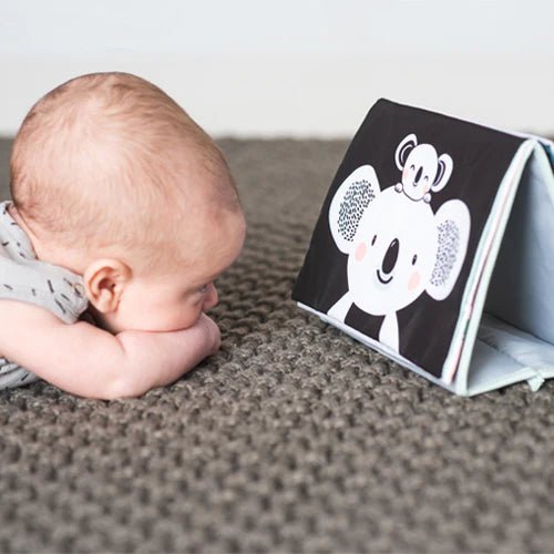 Tummy Time Book | Taf Toys premium baby gift - Baba-lando