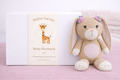 Welcome Baba - Bundle | Bunny