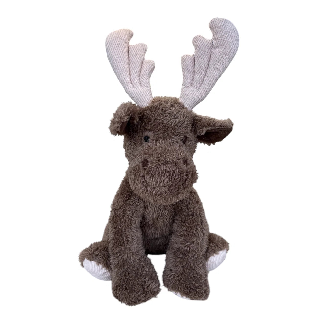 Daisy Moose
