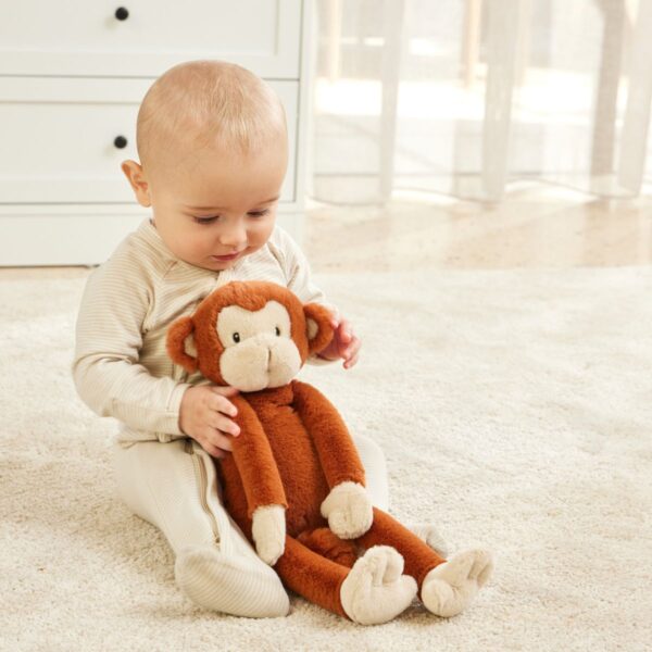 Gigi the Monkey | Jiggle & Giggle